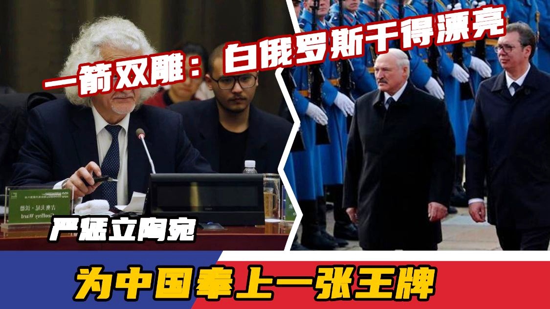 白俄罗斯对立陶宛，实力对比悬殊