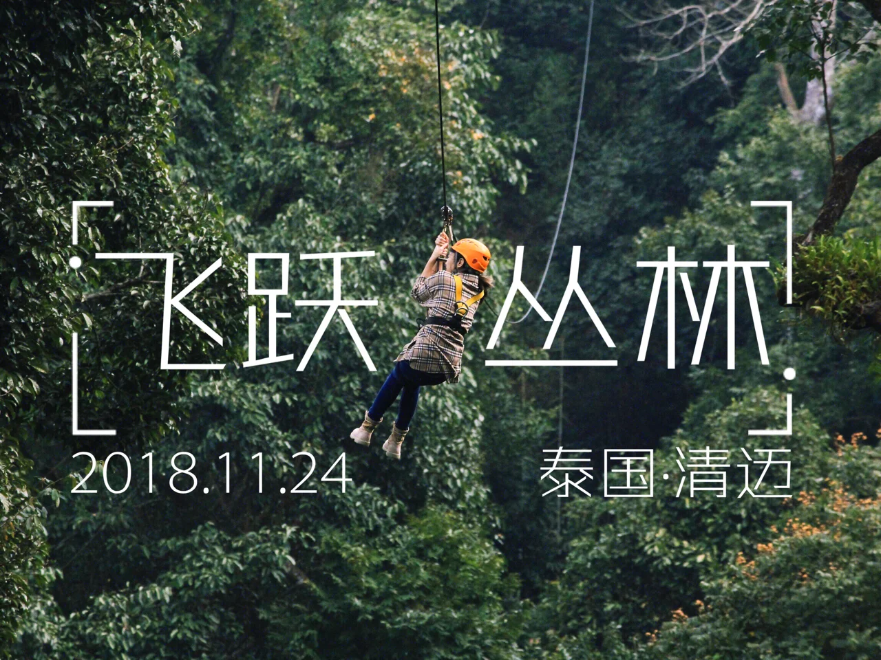 跳水选手从高空飞跃，实现完美表现