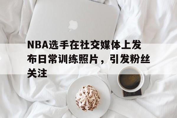 NBA选手在社交媒体上发布日常训练照片，引发粉丝关注的简单介绍